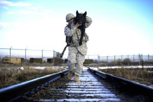 110504wardogs5.jpg