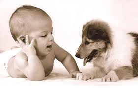 dogandbaby.jpg