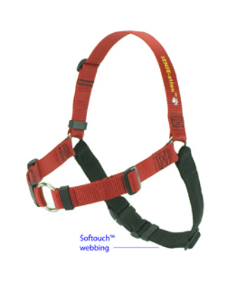 harness.jpeg